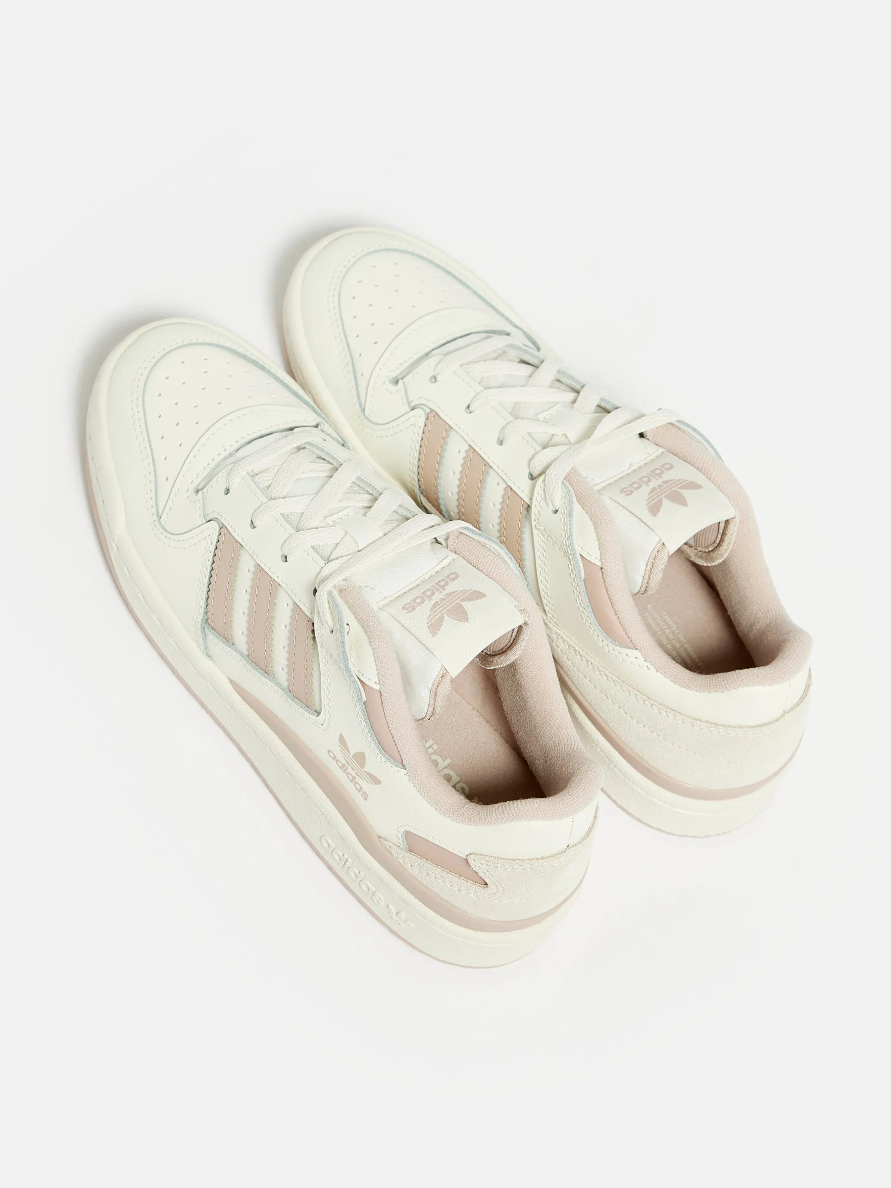 ADIDAS | FORUM LOW CL FOR WOMEN