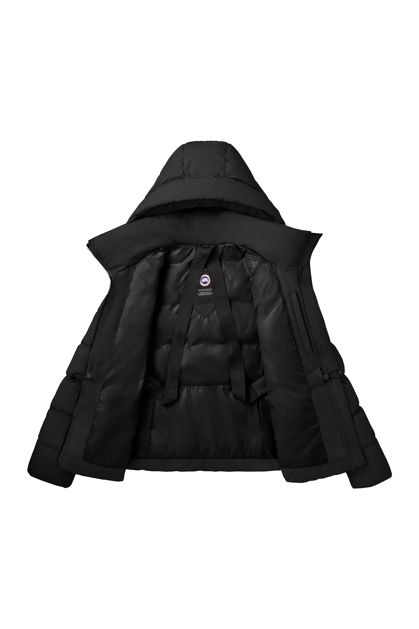 Aurora Jacket