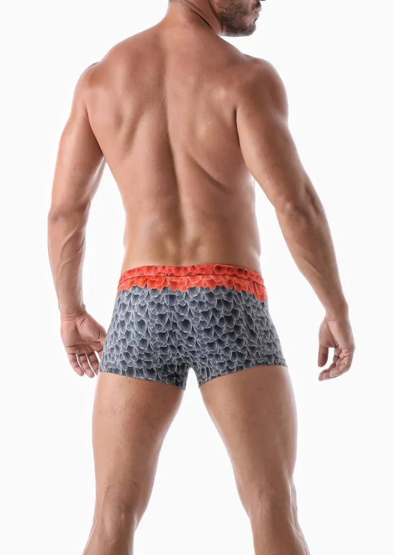 Men swimming trunks 2027b1